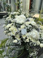 Load image into Gallery viewer, FROSTY WHITES