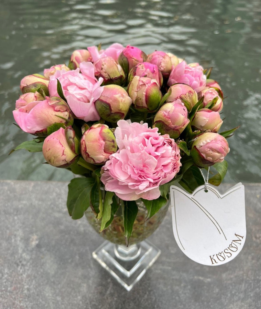 Peony Sass