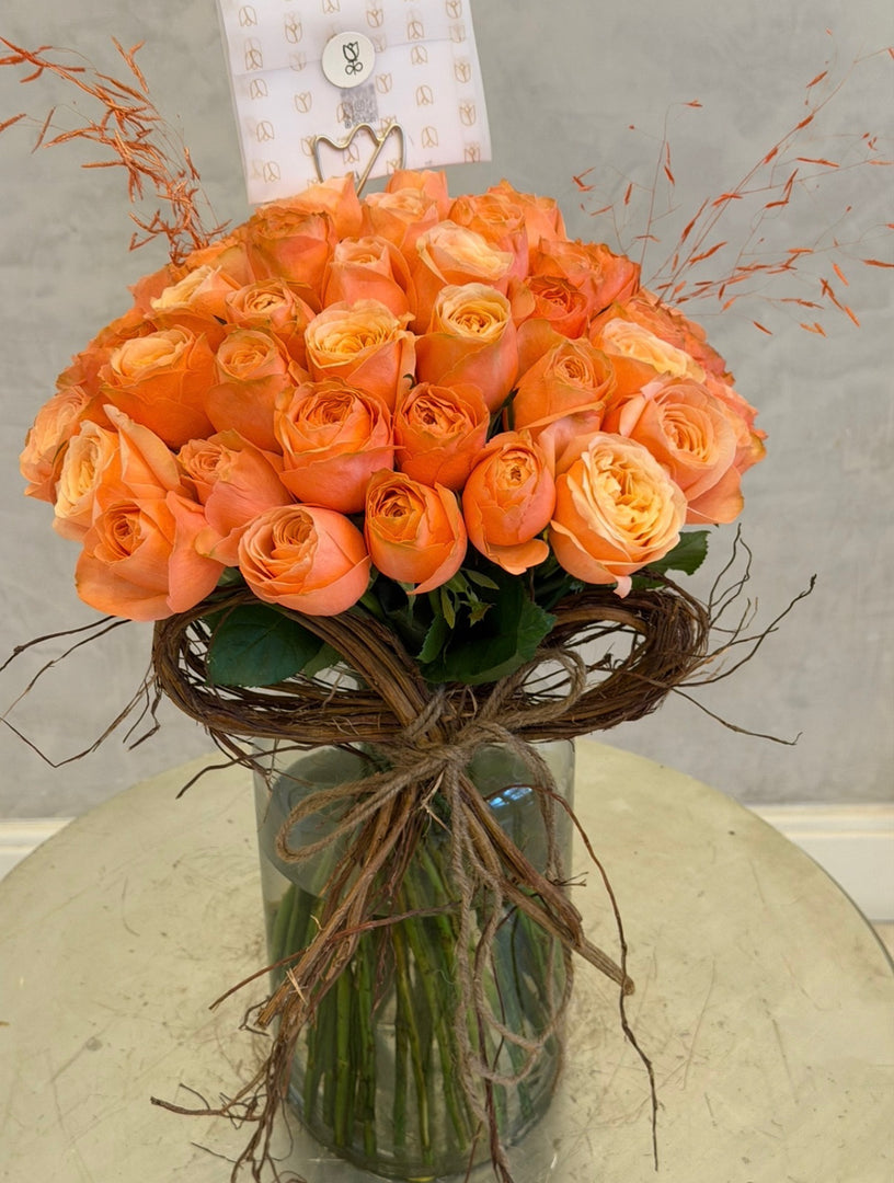 APRICOT ÉCLAT