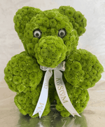 Load image into Gallery viewer, MATCHA BEAR