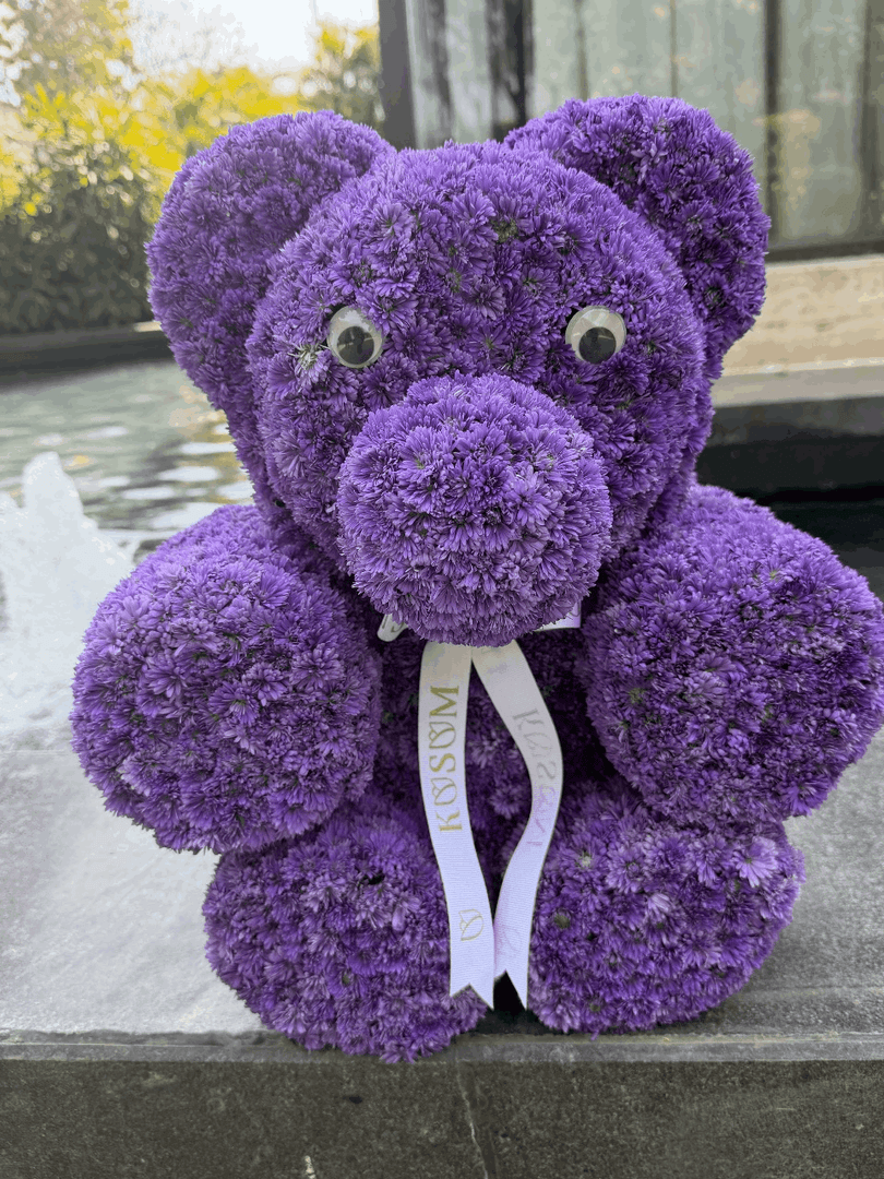 SIR CUDDLES