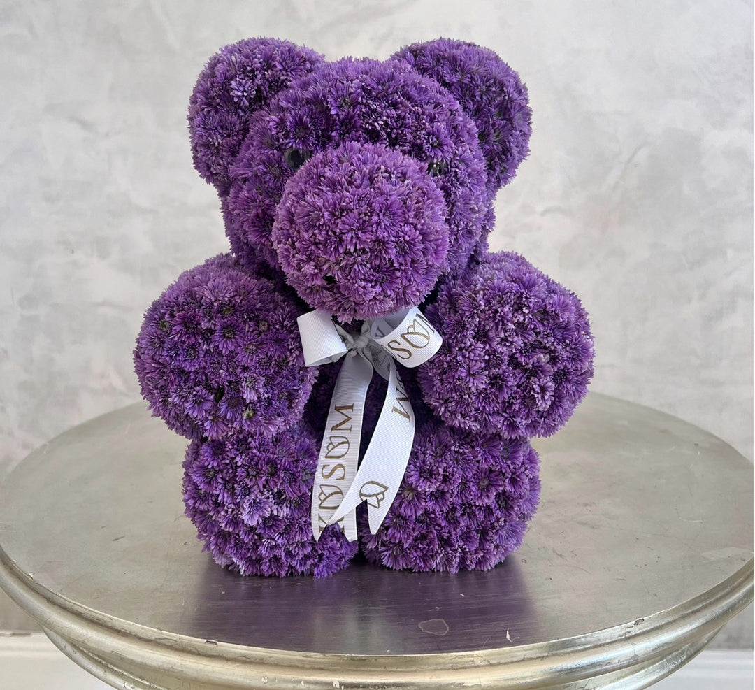 TED THE BEAR