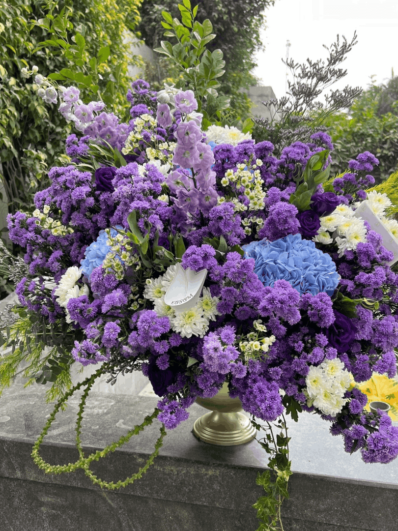 VIOLET WHIMSY